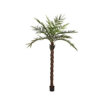 Palma Kentia artificial MARCOS, 300cm