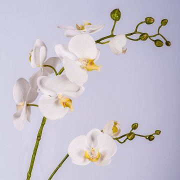 Rama orquídea Phalaenopsis artificial LAHNA, blanco, 95cm, Ø5-10cm