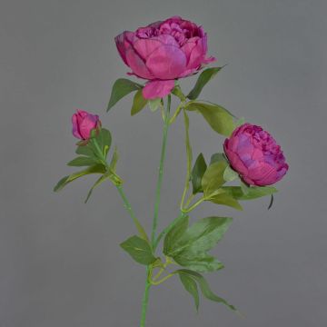 Rama de peonía artificial MEIRU, morado oscuro, 70cm