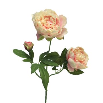 Rama de peonía artificial MEIRU, rosa albaricoque, 70cm