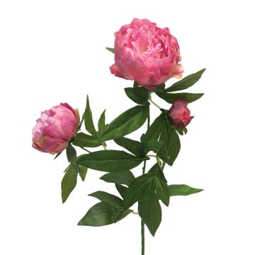 Rama de peonía artificial MEIRU, rosa, 70cm