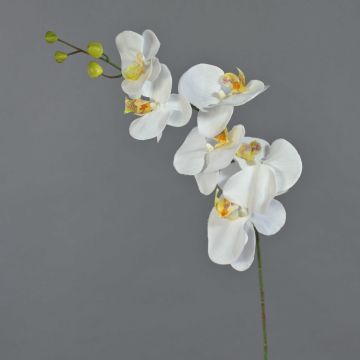 Rama decorativa de orquídea Phalaenopsis LANUA, crema, 75cm