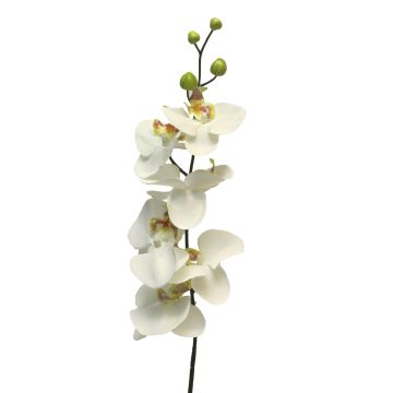 Rama decorativa de orquídea Phalaenopsis LANUA, crema, 75cm