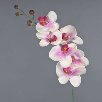 Rama decorativa de orquídea Phalaenopsis LANUA, rosa-crema, 75cm