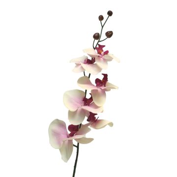 Rama decorativa de orquídea Phalaenopsis LANUA, rosa-crema, 75cm