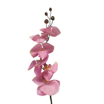 Rama decorativa de orquídea Phalaenopsis LANUA, rosa, 75cm