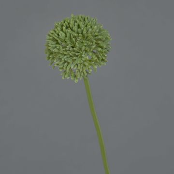 Allium artificial BAILIN, verde, 40cm