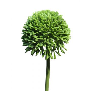 Allium artificial BAILIN, verde, 40cm