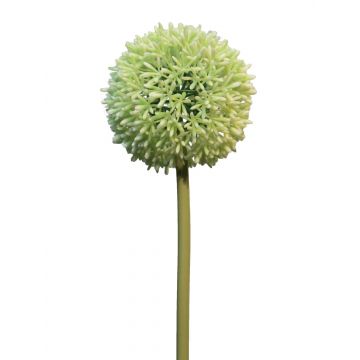 Allium artificial BAILIN, verde crema, 65cm