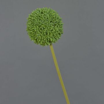 Allium artificial BAILIN, verde, 65cm