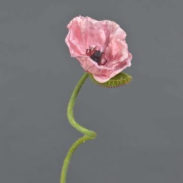 Amapola artificial ANKANG, rosa, 70cm