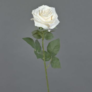 Rosa artificial KAILIN, crema, 65cm
