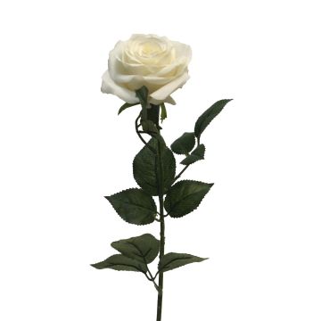 Rosa artificial KAILIN, crema, 65cm