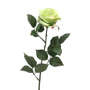 Rosa artificial KAILIN, verde claro, 65cm