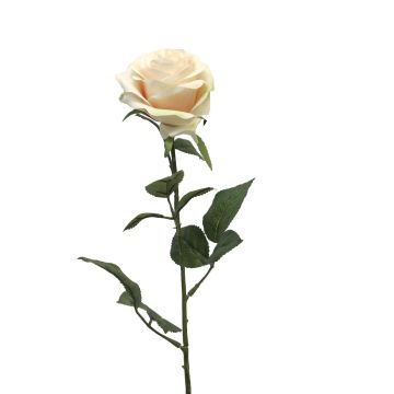 Rosa artificial KAILIN, rosa-crema, 65cm