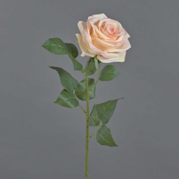 Rosa artificial KAILIN, rosa-crema, 65cm