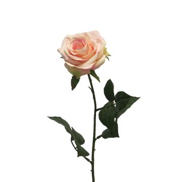 Rosa artificial KAILIN, rosa-crema, 65cm