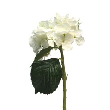 Hortensia artificial XINCHENG, blanca, 50cm