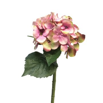 Hortensia artificial XINCHENG, rosa-verde, 50cm