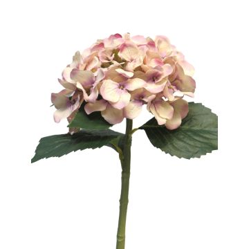 Hortensia artificial XINCHENG, rosa antiguo, 50cm