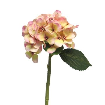 Hortensia artificial XINCHENG, rosa-amarillo, 50cm