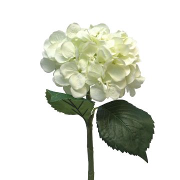 Hortensia artificial FUXIANG, crema, 50cm