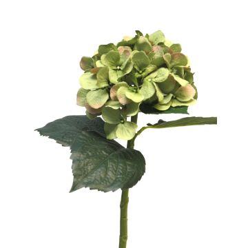 Hortensia artificial FUXIANG, verde-rosa, 50cm
