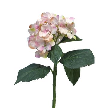 Hortensia artificial FUXIANG, rosa-crema, 50cm