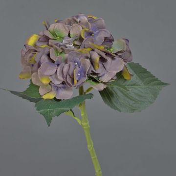 Hortensia artificial FUXIANG, violeta-verde, 50cm