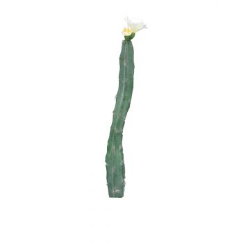 Cactus columnar artificial ANRAN con flores, varilla de ajuste, crema, 35cm