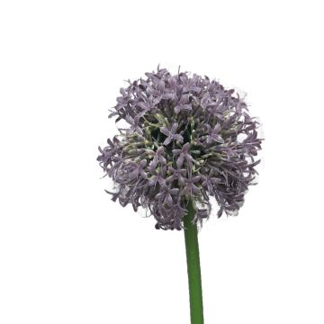 Allium de plástico SHUJIN, púrpura, 65cm