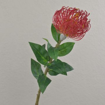 Protea artificial XIFANG, rojo, 75cm