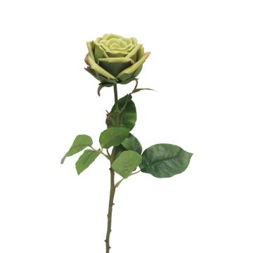 Rosa artificial JIANHUA, verde, 70cm