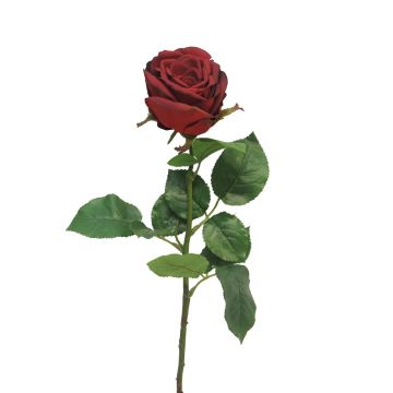 Rosa artificial JIANHUA, rojo oscuro, 70cm