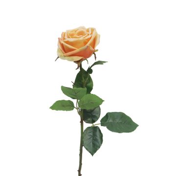 Rosa artificial JIANHUA, melocotón, 70cm