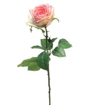 Rosa artificial JIANHUA, rosa-verde, 70cm