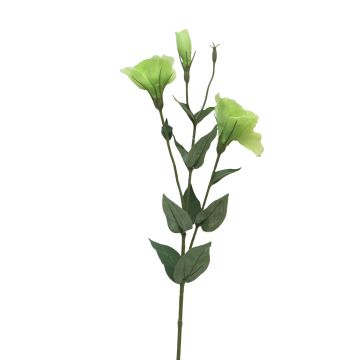 Lisianthus de plástico MUYAN, verde, 80cm