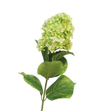 Flor artificial de Hydrangea Paniculata YANGDAN, verde claro, 85cm