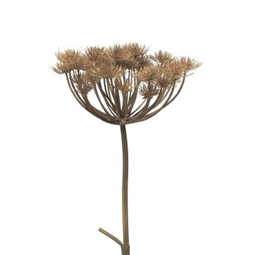 Heracleum artificial MIANYAN, marrón-gris, 100cm