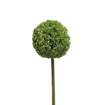 Allium decorativo GUILAN, verde, 75cm