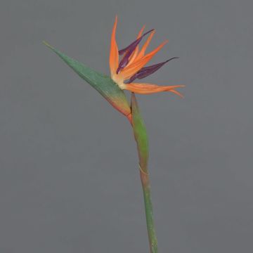 Strelitzia artificial WEIYU, naranja-morado, 60cm