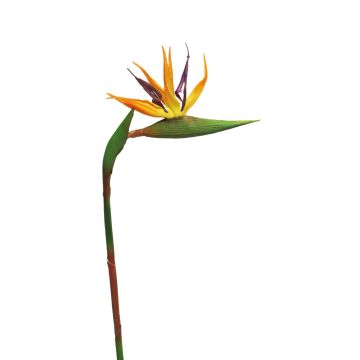 Strelitzia artificial WEIYU, naranja-morado, 60cm