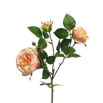 Rama de rosa decorativa SHIYUN, rosa melocotón, 60cm