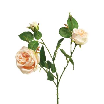 Rama de rosa decorativa SHIYUN, crema-rosa, 60cm