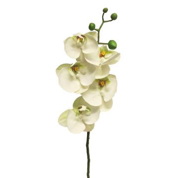 Rama artificial de orquídea Phalaenopsis SONGYA, blanca, 55cm