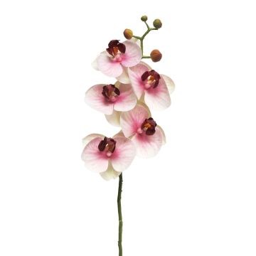Rama artificial de orquídea Phalaenopsis SONGYA, rosa-crema, 55cm