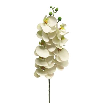 Rama artificial de orquídea Phalaenopsis SONGYA, blanca, 75cm