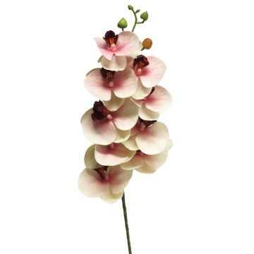 Rama artificial de orquídea Phalaenopsis SONGYA, rosa-crema, 75cm