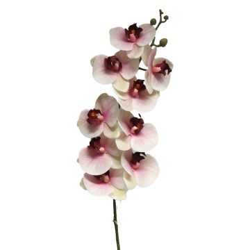 Rama artificial de orquídea Phalaenopsis SONGYA, rosa-crema, 105cm
