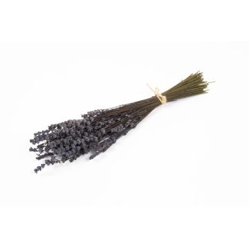 Ramo de lavanda seca AMAYANTE, lila, 35 cm, Ø 10 cm